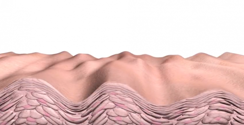 Marco Caspari - Halten Sie Ihre Hautbarriere intakt